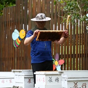 Beekeeper Beekeeper