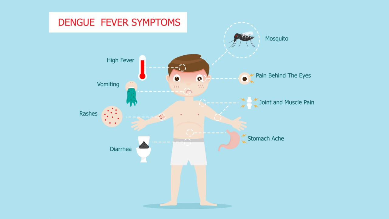 Dengue Fever (Part 2)