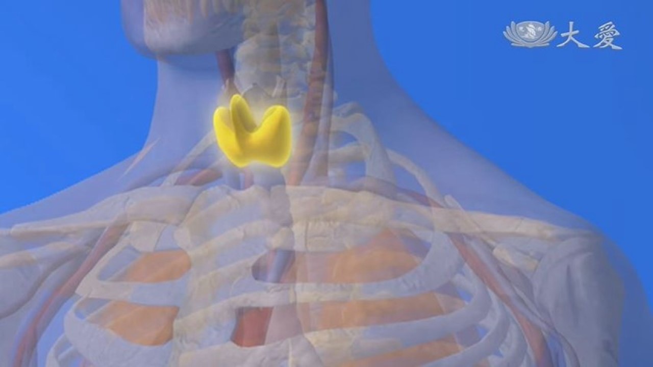 Minimally Invasive Thyroid Surgery (Part 1)