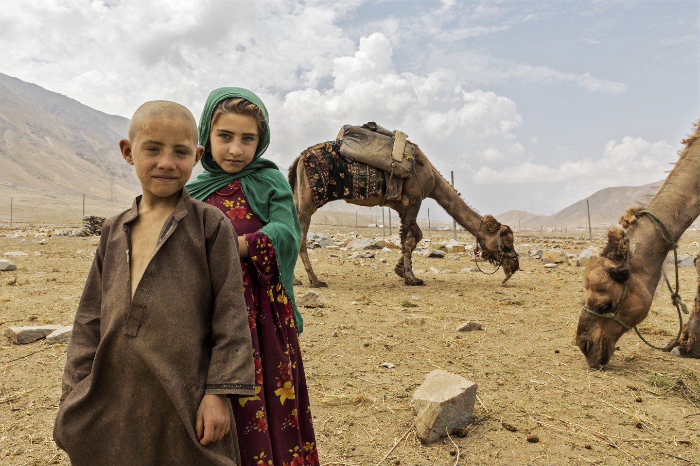 Afghanistan: Pastures of Sand