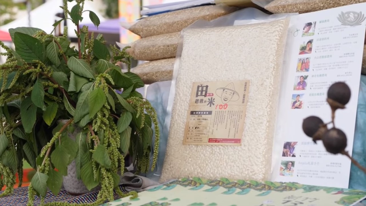 Reviving Rice: A Cultural Staple