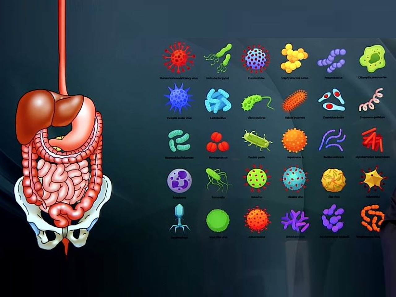 Enterovirus Infections