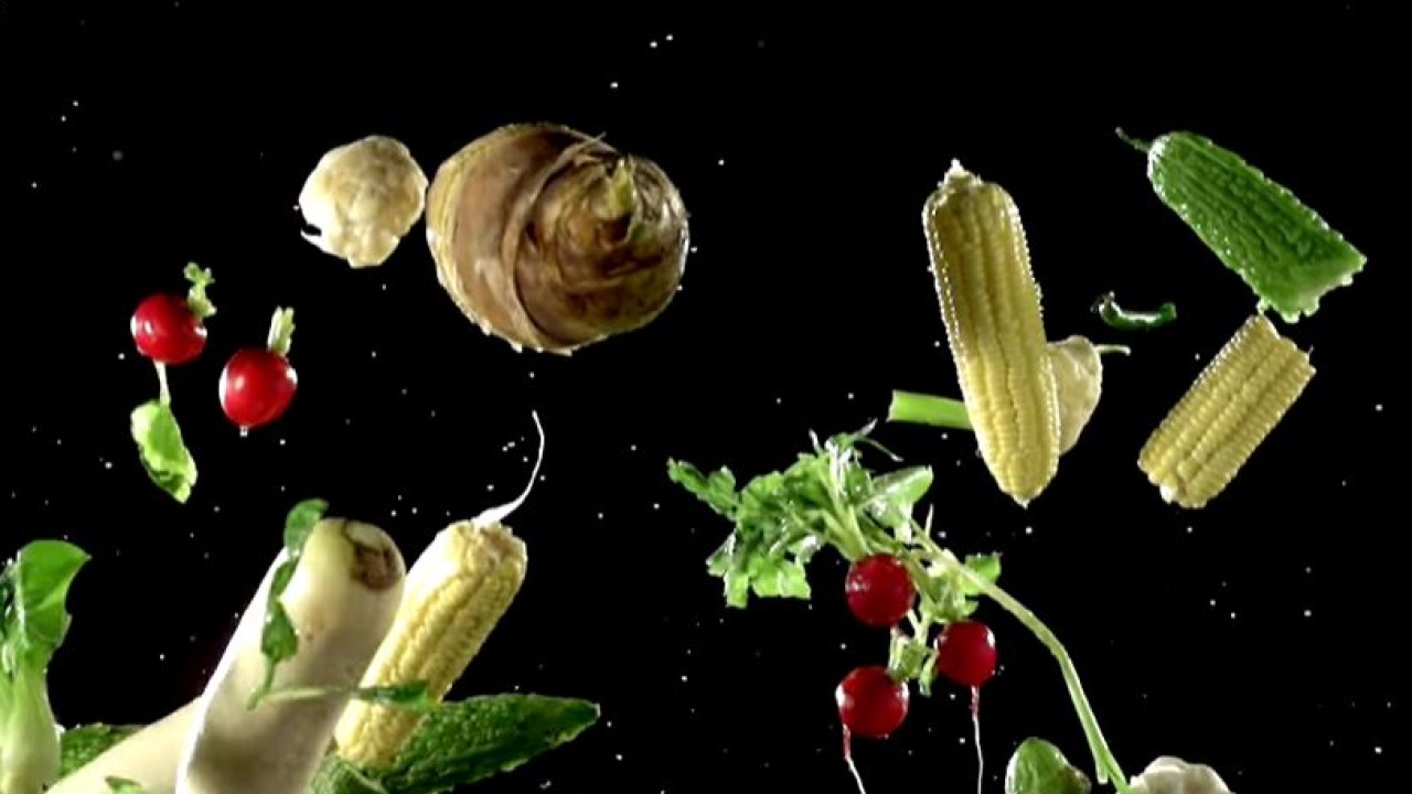 Hsieh Jung-ya on Vegetarianism