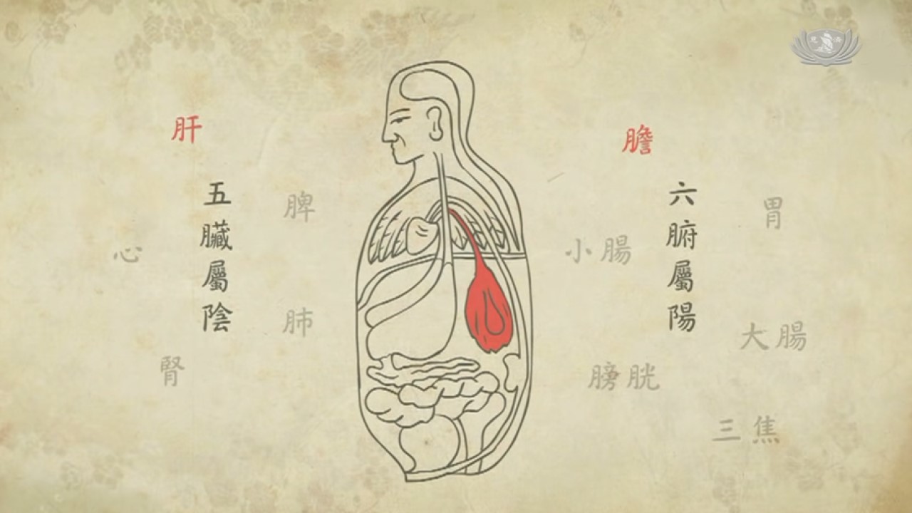 Is Your Liver in Trouble? (Part 3)