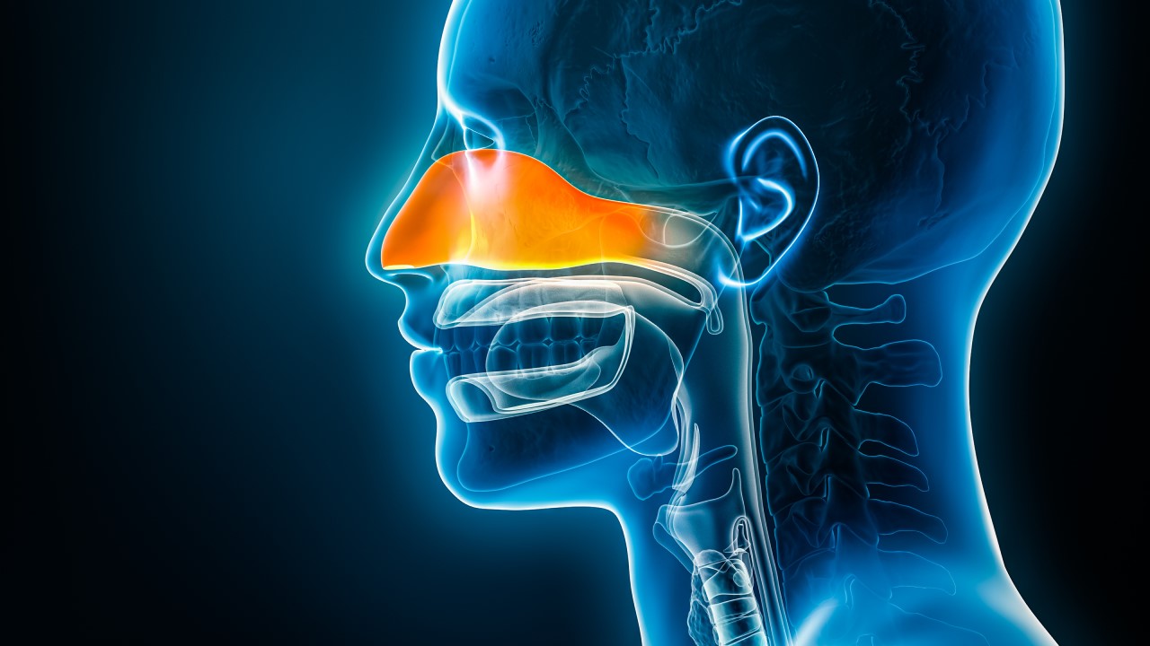 Nose and Sinus Disorders (Part 2)