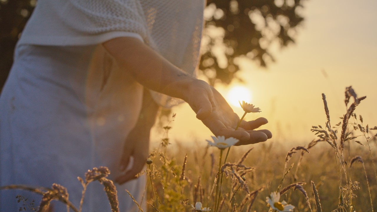 Measure of Spiritual Progress