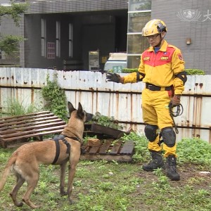 Rescue Dog Handler Rescue Dog Handler