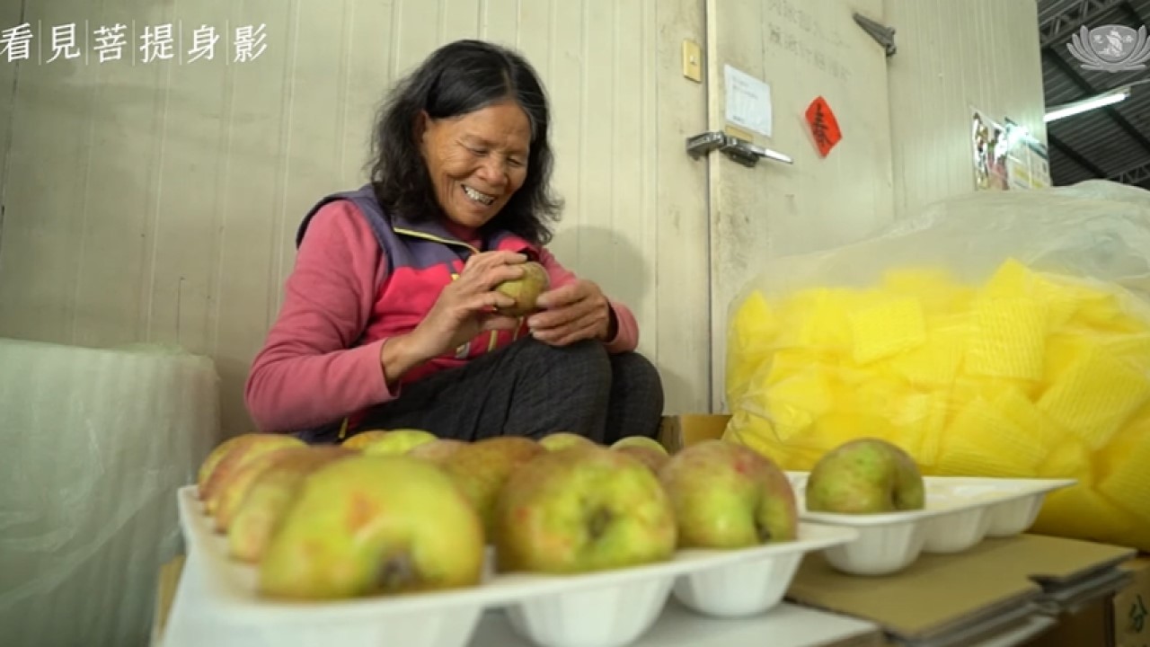 The Apple Farmer's Hands