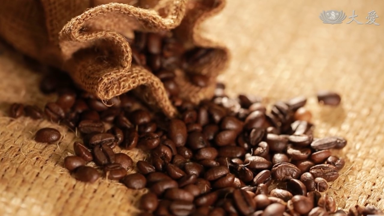 The Art of Coffee Tasting and Brewing
