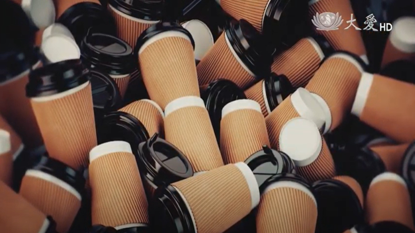 Are Paper Cups Really Made of Paper?