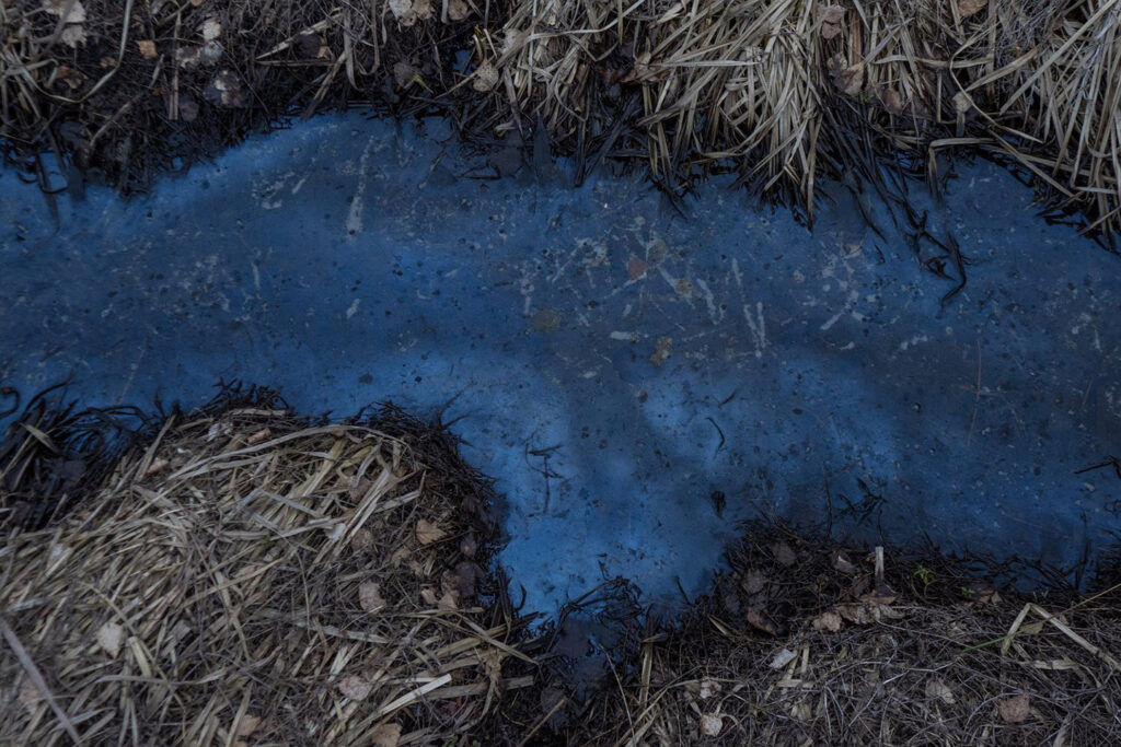 Polluted runoff from a pig farm seeps into the surrounding land and waterways, carrying waste and toxic chemicals into the environment.