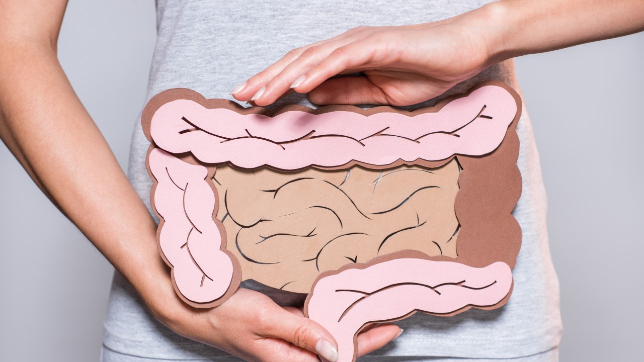 Intro to the Large Intestine Meridian