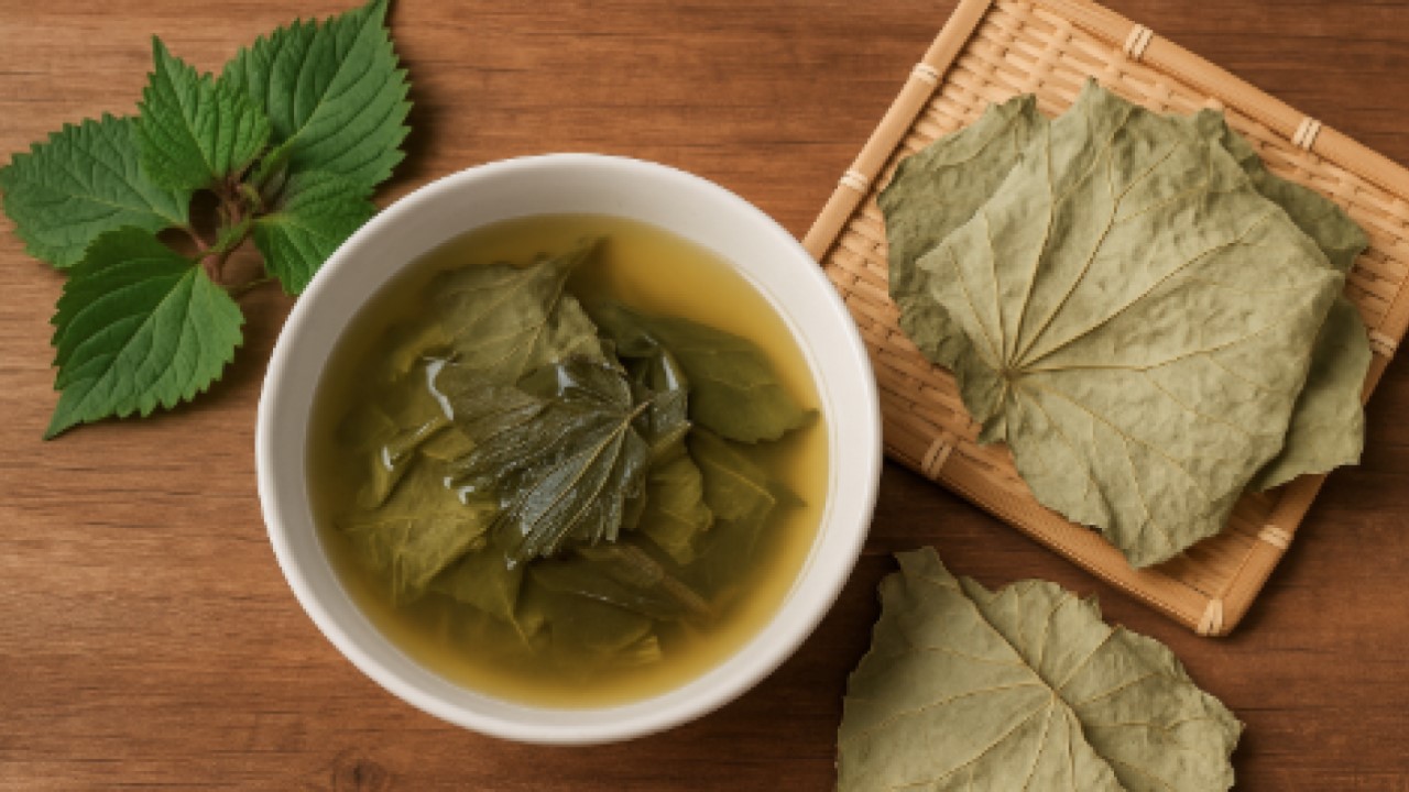 Lotus Leaf for Digestion
