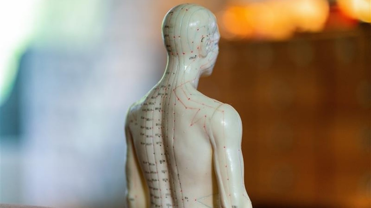 The TCM Meridians: Keys to Health