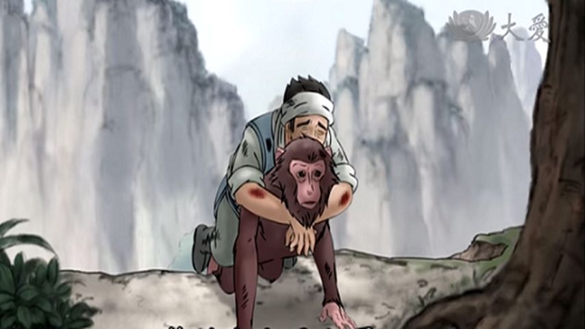 The Kindhearted Monkey